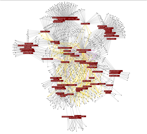 a screenshot of network graph format in Scalable Vector Graphics(SVG) a screenshot of network graph format in Scalable Vector Graphics(SVG)