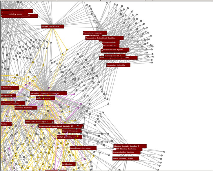 a screenshot of network graph format in Scalable Vector Graphics(SVG) a screenshot of network graph format in Scalable Vector Graphics(SVG)
